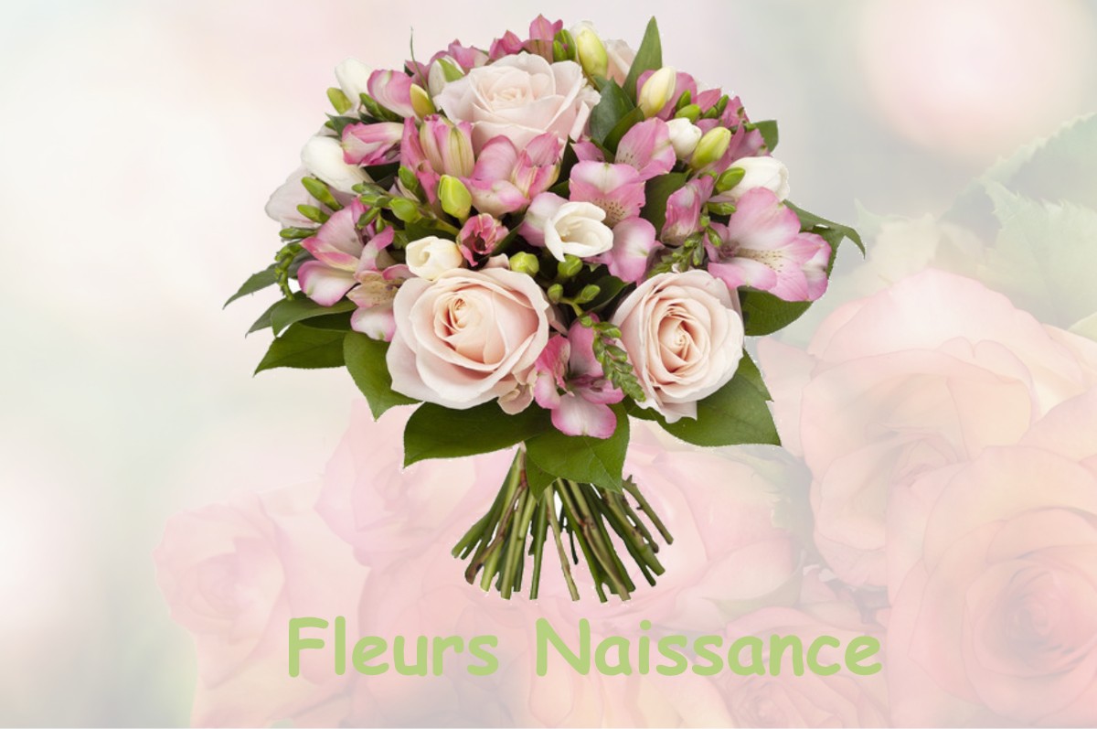 fleurs naissance VARENNES-LE-GRAND